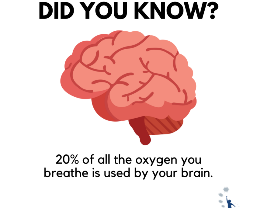 [Image: Brain-845x684.png]