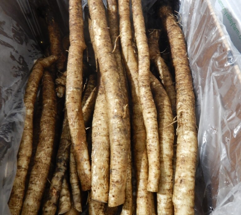 [Image: Burdock-root-768x684.jpg]